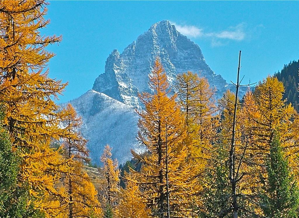 Glacier Haven Inn Пиннакл Экстерьер фото